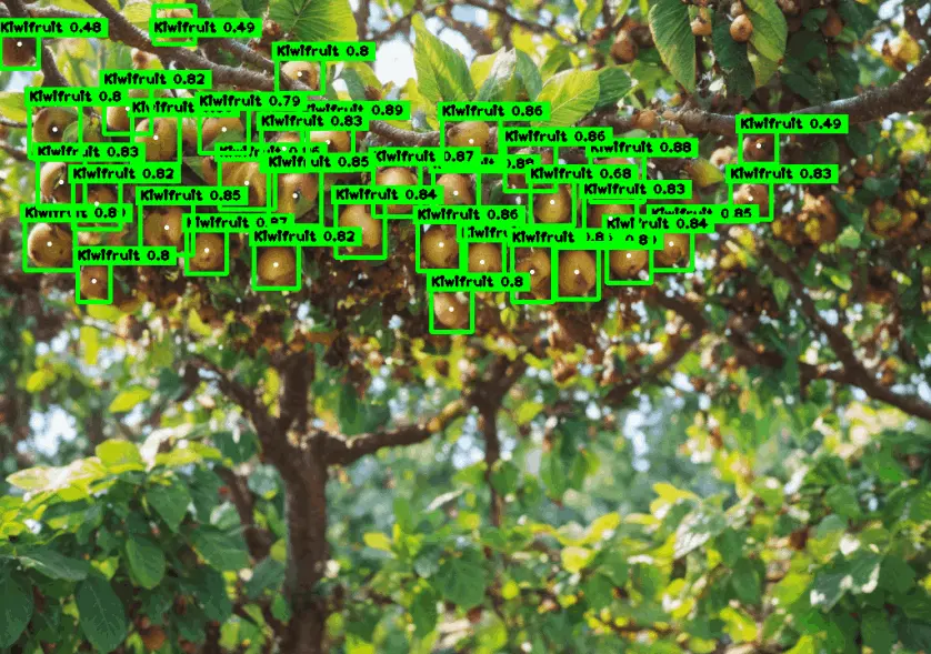 Kiwifruit Detection