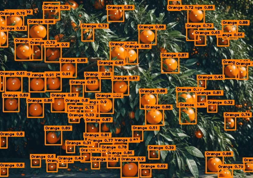 Orange Detection