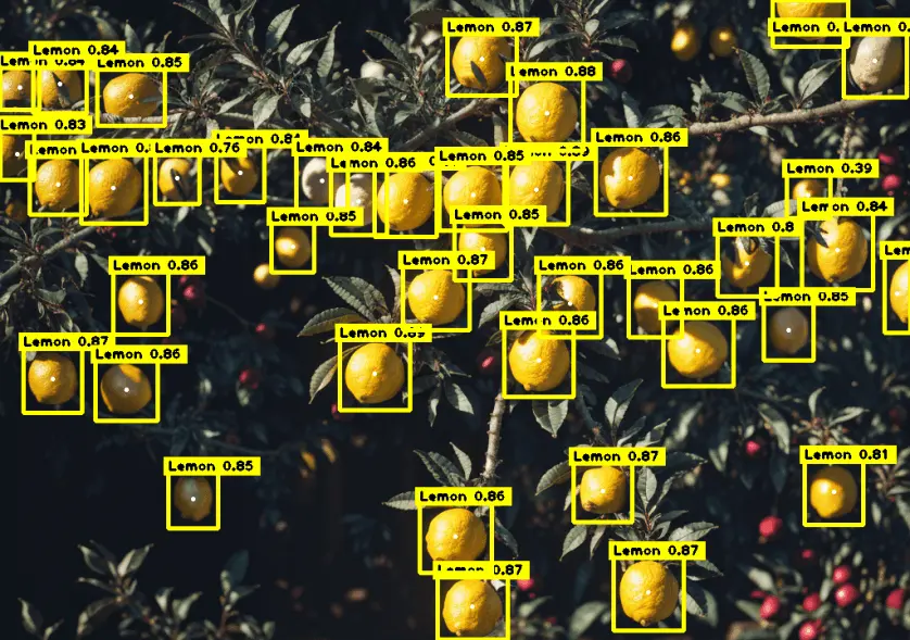 Lemon Detection