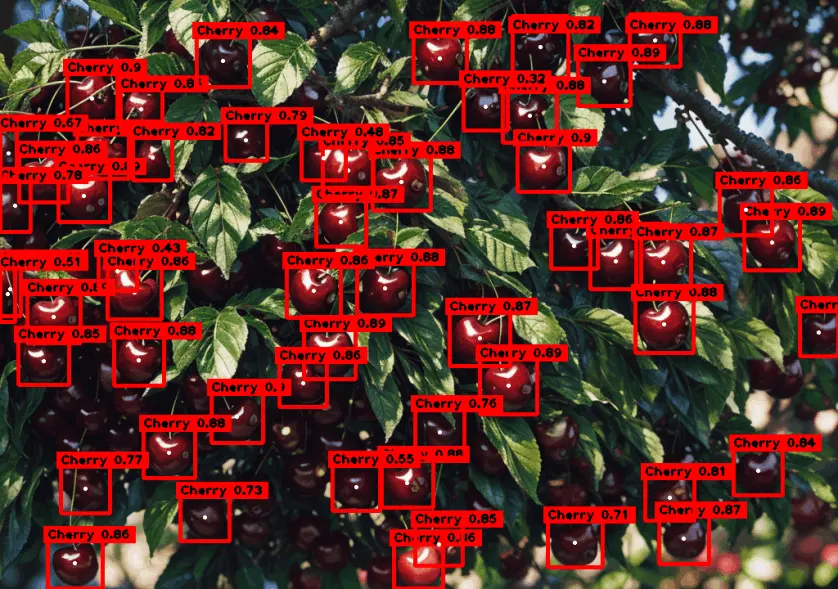 Cherry Detection